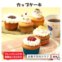 日清製粉ウェルナ　日清　ホットケーキミックス　極もち　国内麦小麦粉100%使用　480g 1個