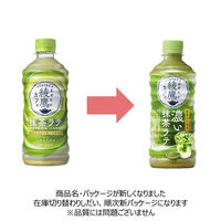 コカ・コーラ 綾鷹カフェ 濃い抹茶ラテ 440ml 1箱（24本入）