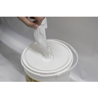 CUC クールウェットPRO WIPE BS145 大容量 極厚・極冷 ボディシート 本体 1個（200枚入）