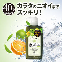 LUCIDO（ルシード） 薬用デオドラントボディウォッシュ ノンメントールハーバルシトラス 詰替 380ml3個マンダム【液体】