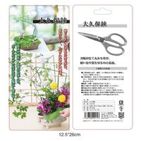 ウィキャン 大久保鋏 WJ-9215 1箱(10個入)（直送品）
