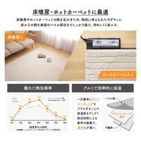 AQUA +PLUS HEAT 国産ラグマット ホットカーペットカバー 1300×1900mm ブラウン 34103106 1枚（直送品）
