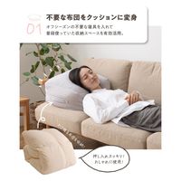 AQUA mofua(モフア)イブル マルチケース (衣類・布団収納ケース) 36520013 1枚（直送品）