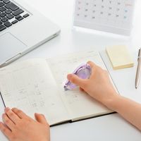 トンボ鉛筆 修正テープモノエアー詰め替え式 5mm幅 ラベンダー CT-CAX5C95 1セット（5個）