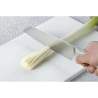 貝印 KK 白髪ネギカッター DH8176 1本（直送品）