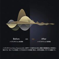 マイク付きイヤホン 3.5mmオーディオプラグ ブラック VV-ME518-VV 1個 Vodaview