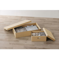 アイリスオーヤマ 段ボール収納ケース 2枚セット幅37×奥行25cm クラフト DB-250 1セット（2枚入り）