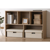 アイリスオーヤマ 段ボール収納ケース 2枚セット幅37×奥行25cm ホワイト DB-250 5セット（10枚入り）