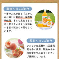 國盛 フルリア いちごのお酒 果汁27%　7度　300ml 1本　リキュール