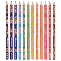 サンスター文具 はじめてのいろえんぴつ マイファーストステップ それいけ!アンパンマン 0220009A 1個(12色)