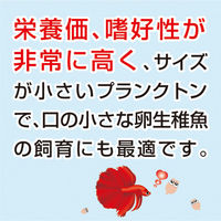 キョーリン ビタクリン ワムシ 50g 1枚 283564 1個（直送品）