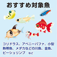 キョーリン ビタクリンイトミミズ 100g 291450 1個（直送品）