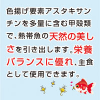 キョーリン ビタクリン アダルトブライン 100g 1枚 283561 1個（直送品）