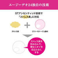 ファイントゥデイ エージーデオ24デオドラントスティックＤＸフローラルブーケ医薬部外品20g 832199 1ケース（20G×36個）（直送品）