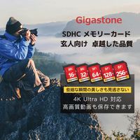 GIGASTONE U1V10クラスSDカード GJSXR-128GU1-RED 1枚
