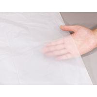 ゴミ袋 nocoo In エコノプラス 薄口 半透明 70L 厚さ:0.016mm（600枚:20枚入×30パック）日本サニパック