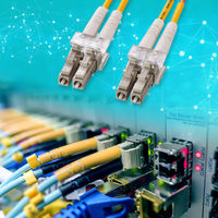 サンワサプライ メガネ型光ファイバケーブル（マルチ50μm、LC×2-LC×2、2m） HKB-LCLC5-02N 1本（直送品）