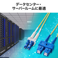 サンワサプライ メガネ型光ファイバケーブル(シングル8.6μm、LC×2-SC×2、5m) HKB-LCSC1-05N 1本（直送品）
