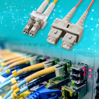 サンワサプライ メガネ型光ファイバケーブル(マルチ50μm、LC×2-SC×2、2m) HKB-LCSC5-02N 1本