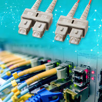 サンワサプライ メガネ型光ファイバケーブル（マルチ50μm、SC×2-SC×2、15m） HKB-SCSC5-15N 1本（直送品）