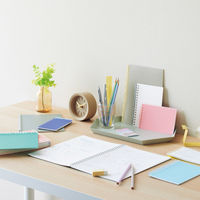 リヒトラブ オープンリングノート メモLサイズ ピンク 交換式ノート N2721-12 1セット(1冊×10)