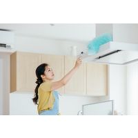 山崎産業 2989.jp+ ムーンダスターFーEX ホコリ払い 静電払い ハタキ 1本