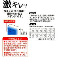 アイセン 激キレ バススポンジ BD001 1個