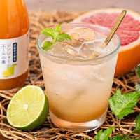 久世福商店 ジンジャーエールの素（炭酸水で割る）290ml 3本 サンクゼール