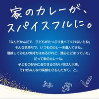 クロスブレンドカレー 辛口 140g 8皿分 1個 ハウス食品 カレールウ スパイス 旨み