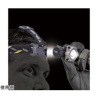 TJMデザイン LEDヘッドライト M091D LE-M091D 1個 67-0338-18（直送品）