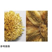 スリーアールソリューション 4Kデジタル顕微鏡 3R-MSUSB390 1個 67-2515-67（直送品）