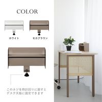 PREDONA(プレドナ) デスクトップシェルフ 幅300×奥行100×高さ160mm ホワイト 1台