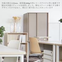 PREDONA(プレドナ) デスクシェルフ 幅360×奥行き240×高さ120mm リリーホワイト 1台