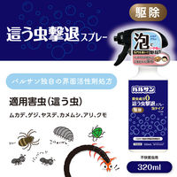 バルサン 殺虫成分フリー 這う虫撃退スプレー 320mL 1セット（2個） レック