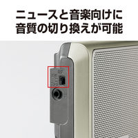 パナソニック ラジオ RF-U156-S 1台