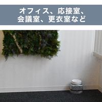 消臭力 業務用ビーズタイプ 特大 本体 1.8kg エアリーソープ 部屋用消臭芳香剤 1個 エステーPRO