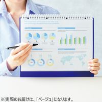 リヒトラブ CUBE FIZZ クリヤーブック ポケット交換タイプ A4タテ 30穴 15ポケット ベージュ N7015-16