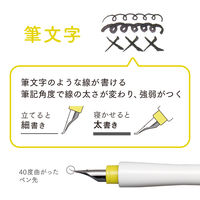 セーラー万年筆 万年筆ペン先のつけペン hocoro 筆文字 シロ 120138710 1個