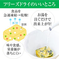 クノール ほうれん草とベーコンのスープ袋32g 1パック（5食入）　味の素（わけあり品）