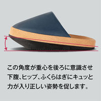 アルファックス 体幹を整えるスリッパ Sliet(スリエット) MEN ブラック 508533 1個（直送品）