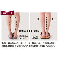 アルファックス スリエット O-TYPE ボルドー 508809 1個（直送品）