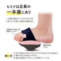 アルファックス ソールバランス コロン グリーン 509516 1個（直送品）