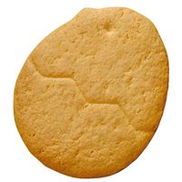 あじわいたまごのサブレー 8枚入 6箱 ブルボン ビスケット クッキー 個包装 お配り