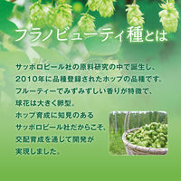 ポッカサッポロフード&ビバレッジ 北海道 富良野ホップ炭酸水 500ml 1セット（48本）