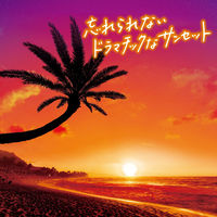 入浴剤 バスロマン 旅するハワイ バスソルト 4種アソート 個包装 1セット（12包入×4箱） アース製薬