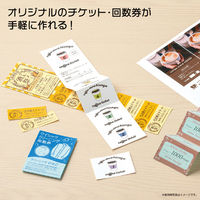 ヒサゴ 自分で作れるチケット・回数券 A4 6枚綴り ブルー PK503S 1セット(1冊×2)