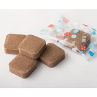 暑さ対策 塩分チャージ からだに届く塩と黒糖のタブレット　70g 1セット（1個×10）