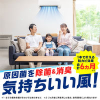 らくハピ エアコン カビ洗浄スプレー プレミアウインド カビ取り 掃除 無香料 350mL 1個 消臭 除菌 カビ 防止 アース製薬