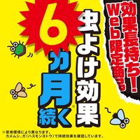 虫こないアース 玄関灯・外壁に 長日数持続タイプ 450mL 害虫駆除 スプレー 1本 アース製薬