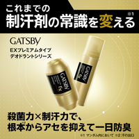 GATSBY（ギャツビー） EXプレミアムタイプ デオドラント ロールオン 60ml 2個 無香料 医薬部外品 マンダム